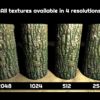 Čtyři rozlišení textur - Wood Package