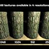 Čtyři rozlišení textur - Wood Package Čtyři rozlišení textur - Wood Package